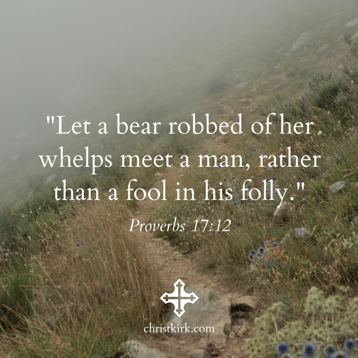 Grace & Peace: Proverbs 17:12 - Christ Church